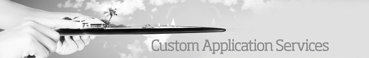 Custom Application Services